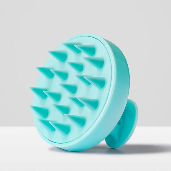 Hair Scalp Brush